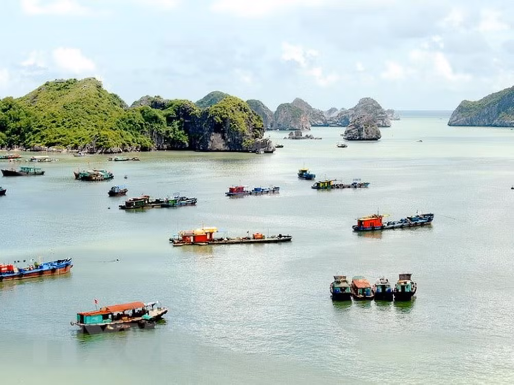 Bộ TN&MT lên tiếng việc cấp hàng nghìn hécta đất để xây chùa ảnh 4