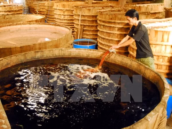 Sự kiện trong nước tuần 17-23/10: Tai nạn máy bay và bê bối nước mắm ảnh 3