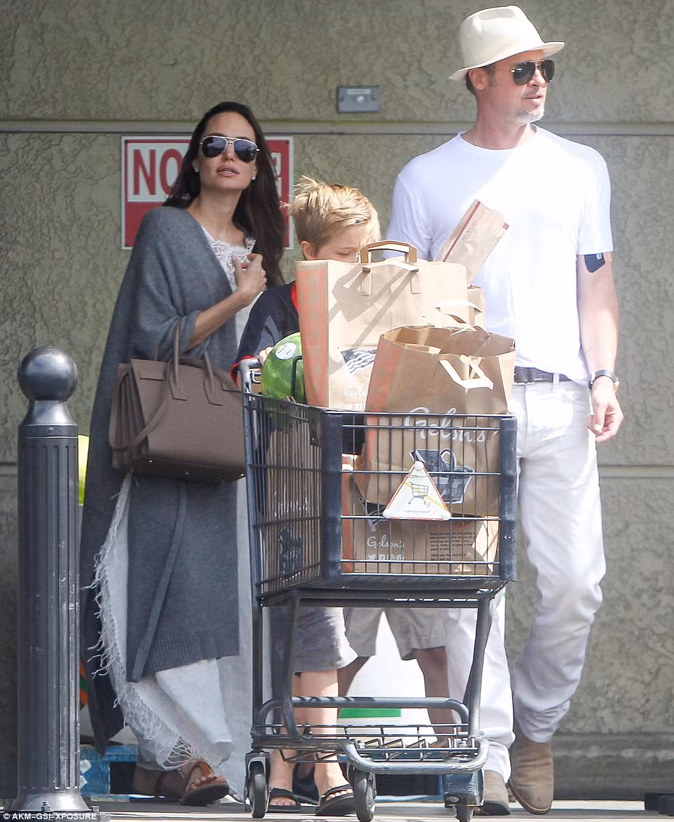 Brad Pitt "rất tức giận" khi nhận đơn ly hôn của Angelina Jolie ảnh 5