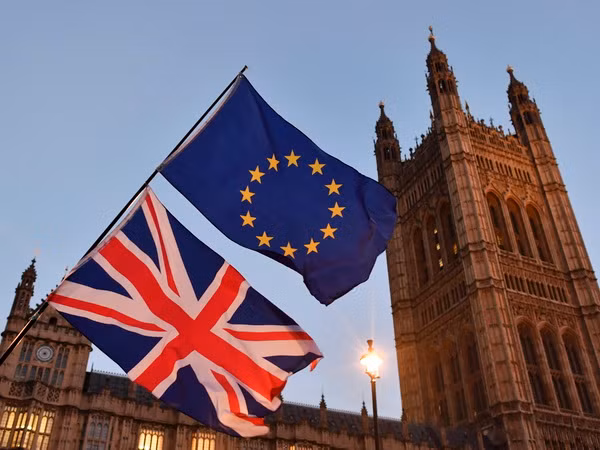 Nhiều nghị sỹ liên đảng Anh đòi tổ chức cuộc trưng cầu lại về Brexit ảnh 1
