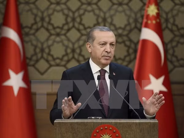 Kẻ sát hại Đại sứ Nga "là thành viên mạng lưới của giáo sỹ Gulen" ảnh 1