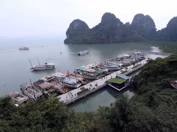 Không có việc cấm tàu từ Cát Bà đưa khách sang vịnh Hạ Long ảnh 1