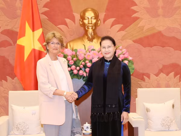 Chủ tịch Quốc hội Nguyễn Thị Kim Ngân tiếp Đại sứ Tây Ban Nha ảnh 1