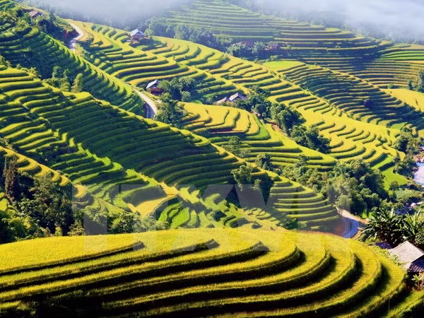 Báo chí góp phần tích cực vào sự phát triển chung của vùng Tây Bắc ảnh 1