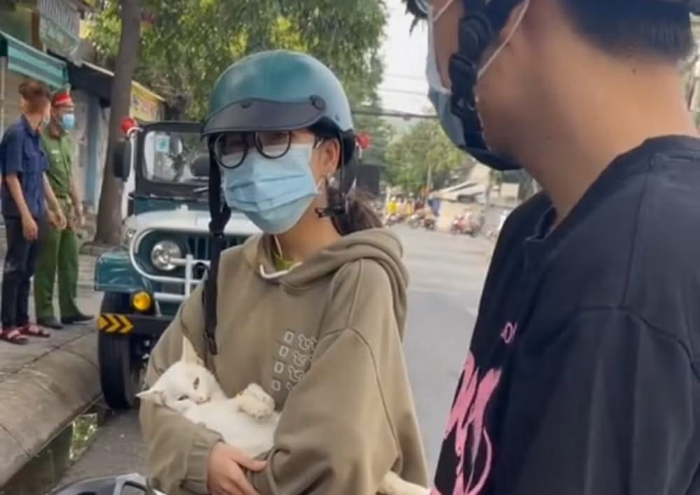 [Video] Tranh cãi chuyện đưa mèo đi khám giữa lúc phong tỏa COVID-19 ảnh 1