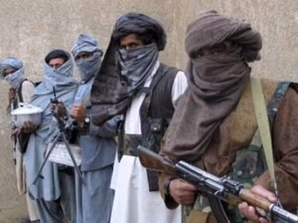 Al-Qaeda trả tự do cho công dân Thụy Điển bị bắt làm con tin ảnh 1