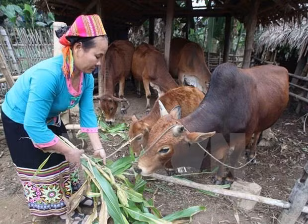 Phó Thủ tướng Vương Đình Huệ phát động nhắn tin ủng hộ người nghèo ảnh 1