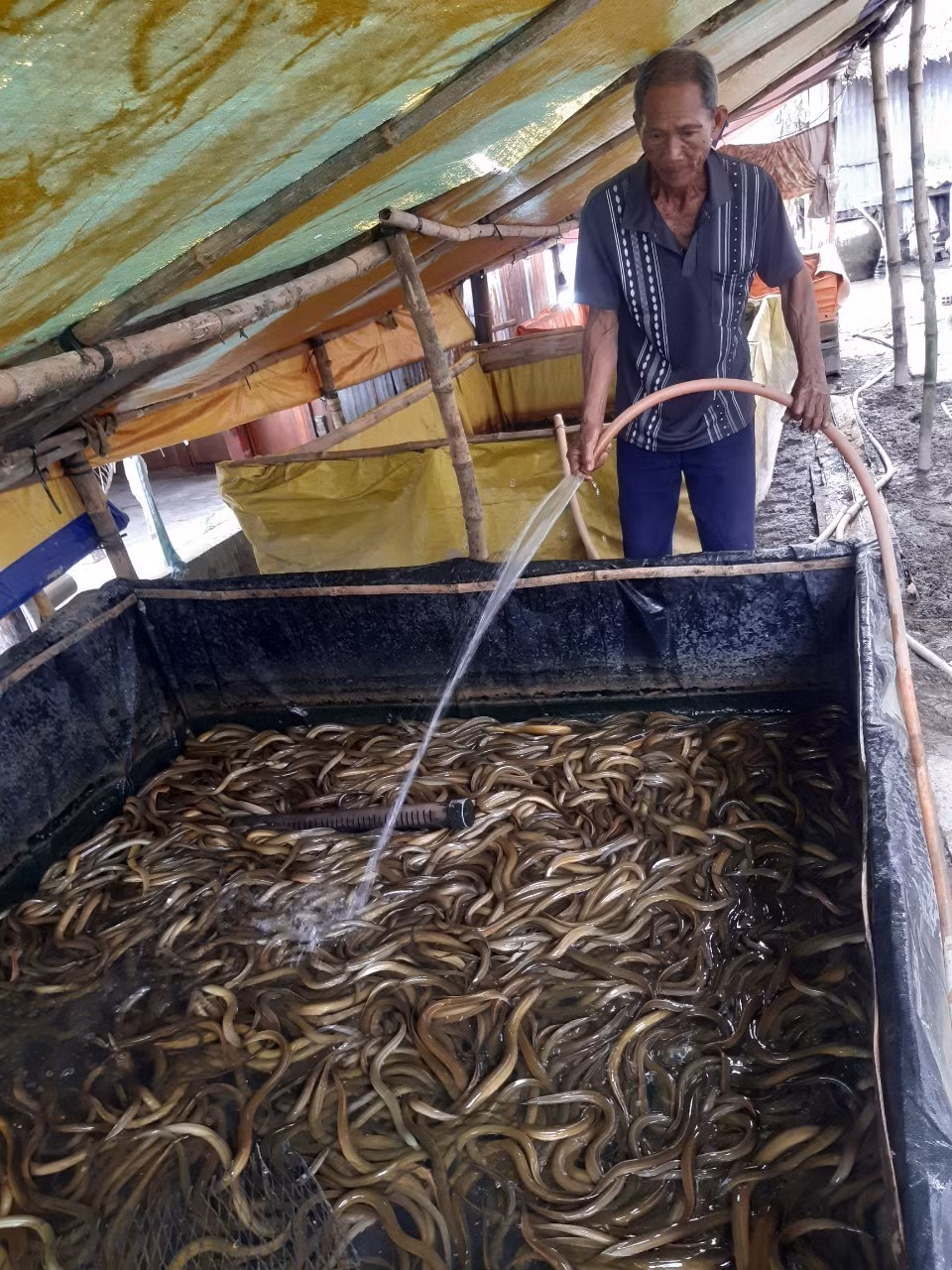 Bạc Liêu: Huy động các nguồn lực thực hiện giảm nghèo bền vững ảnh 2