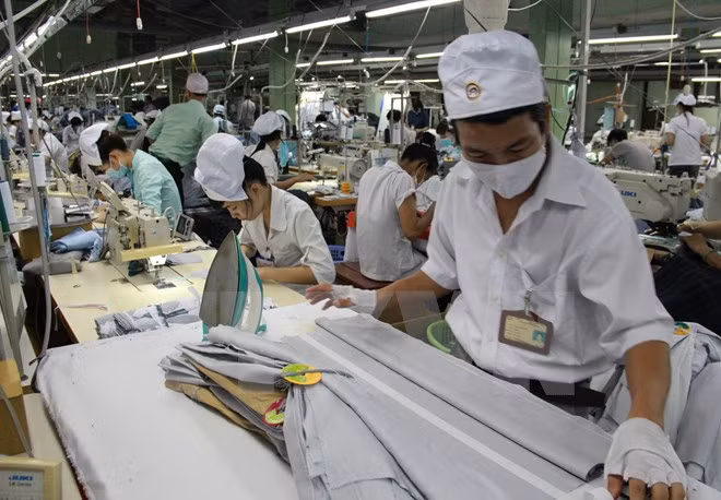 Phê chuẩn Hiệp định CPTPP: Tầm mức mới của tiến trình hội nhập ảnh 3