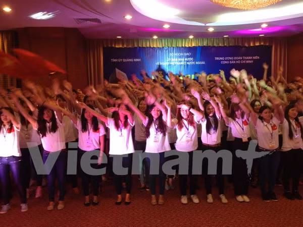 Hơn 160 thanh thiếu niên kiều bào về dự Trại hè Việt Nam 2015 ảnh 1