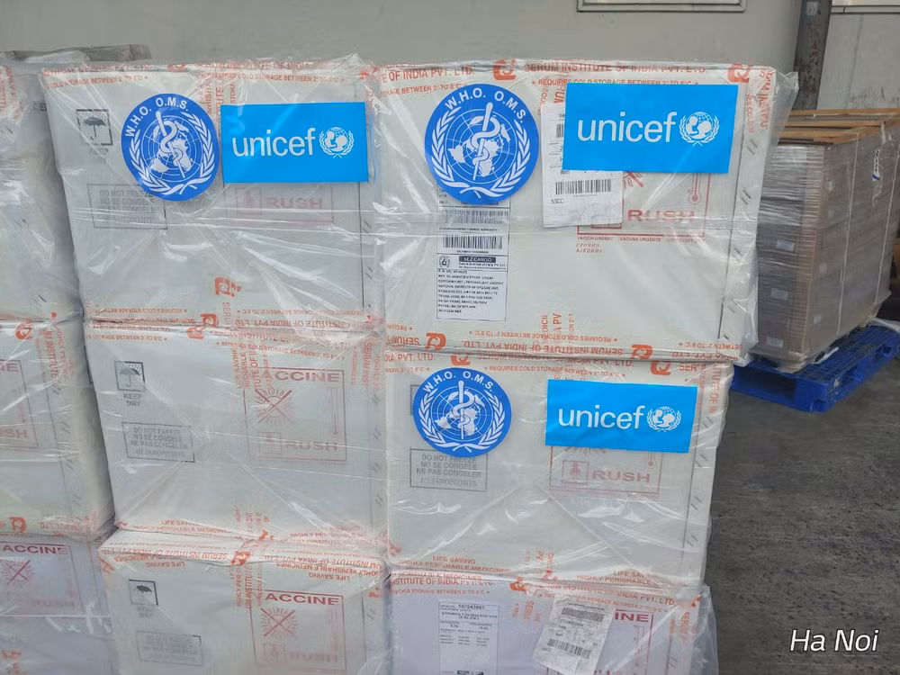 185.700 liều vaccine 5 trong 1 do WHO và UNICEF hỗ trợ đã về VN ảnh 1