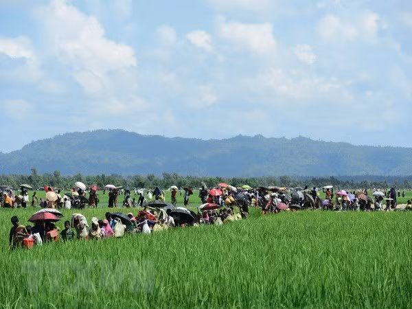 Myanmar: Khủng bố tại bang Rakhine vẫn là mối đe dọa tại khu vực ảnh 1