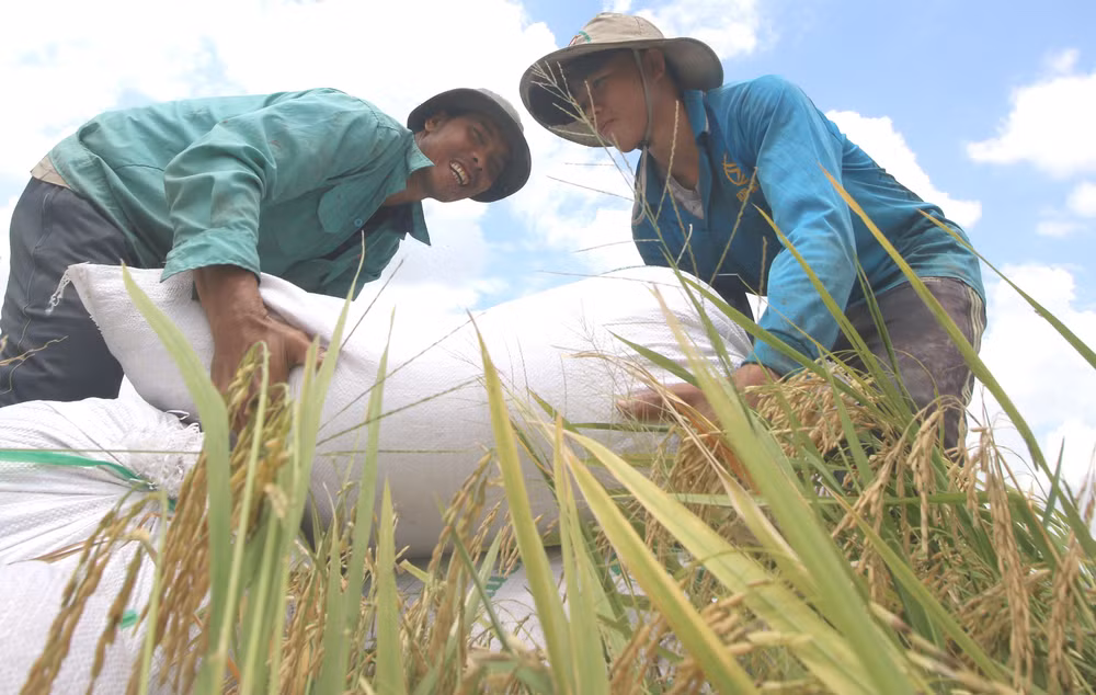 Việt Nam nêu bật 6 giải pháp xuyên suốt để thực hiện thành công SDGs ảnh 1