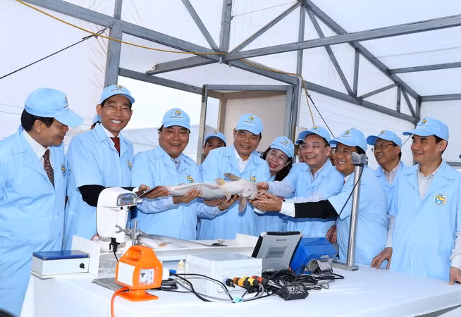 Thủ tướng thăm Khu sản xuất cá tra giống công nghệ cao tại An Giang ảnh 2