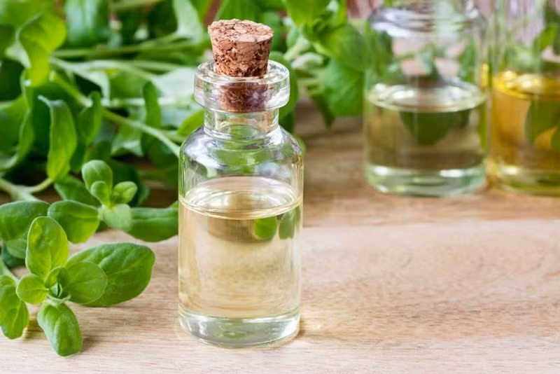 Điểm danh những loại tinh dầu giúp giảm căng thẳng và lo âu ảnh 5
