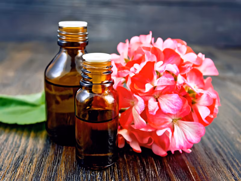 Điểm danh những loại tinh dầu giúp giảm căng thẳng và lo âu ảnh 8