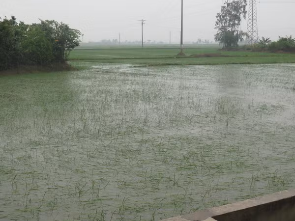 Ứng phó với bão số 3: Nghệ An sơ tán người dân đến nơi an toàn ảnh 1