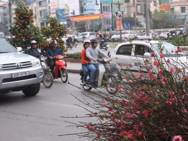 Thời tiết đẹp trên cả ba miền trong những ngày cận Tết ảnh 1