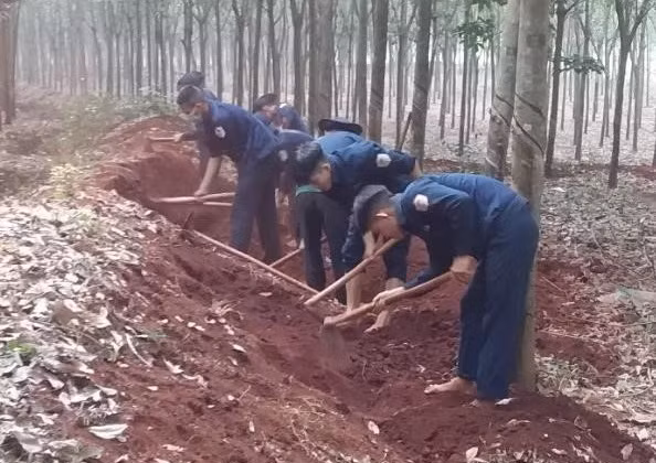 Phát hiện thêm 8 hài cốt liệt sỹ tại rừng cao su ở Bình Phước ảnh 1