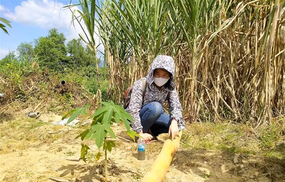 Khánh Hòa: Yêu cầu DN xử lý nước thải trước khi xả ra môi trường ảnh 2