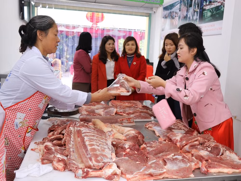 Kinh tế vĩ mô tiếp tục ổn định, CPI tháng Sáu giảm 0,09% ảnh 1