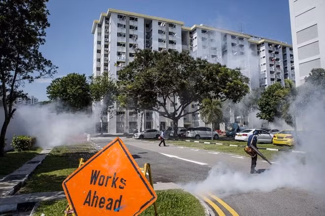 Virus Zika ở Singapore có thể tiến hóa từ chủng cách đây 60 năm ảnh 1