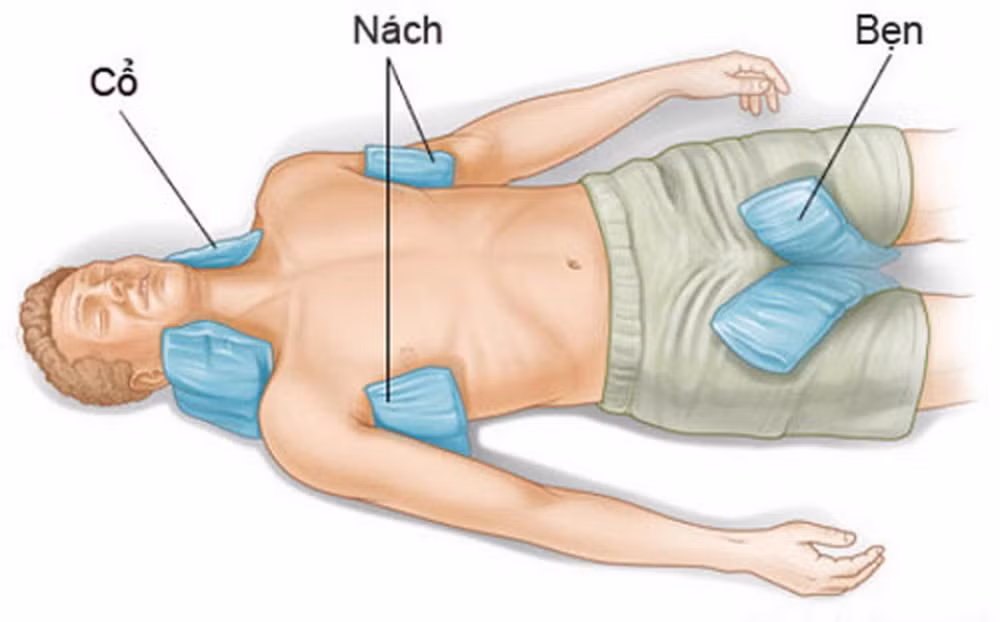 soc nhiet8.jpg