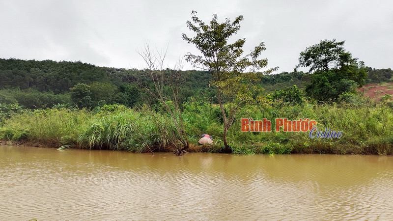 Mơ Thấy Thả Lưới Bắt Cá - Giải Mã Giấc Mơ và Những Điềm Báo Tốt