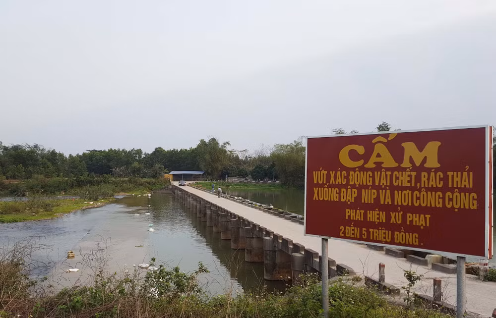 Thái Nguyên: Gia cầm chết vứt ngổn ngang gây ô nhiễm nghiêm trọng ảnh 1