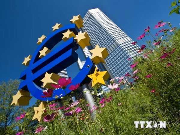 OECD cắt giảm dự báo tăng trưởng kinh tế của Eurozone ảnh 1