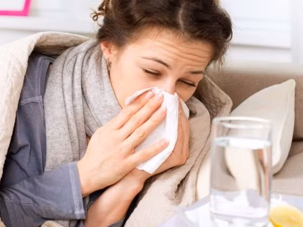 Cộng hòa Séc chuẩn bị đối phó với dịch cúm bùng phát trên cả nước ảnh 1
