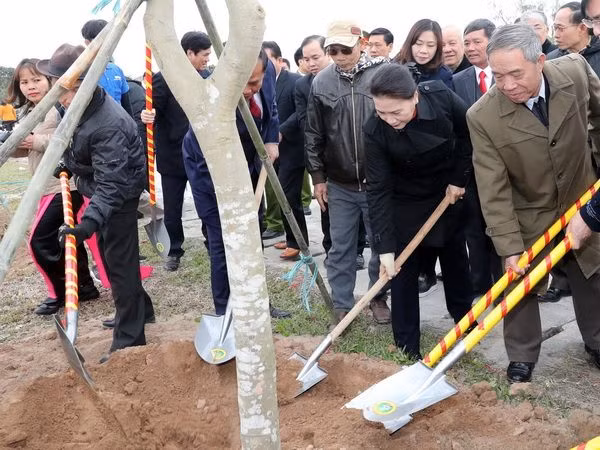 Chủ tịch Quốc hội dự Lễ phát động Tết trồng cây tại Hải Dương ảnh 1
