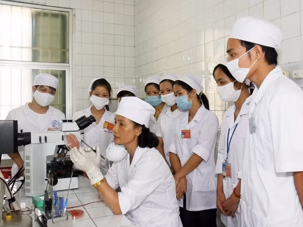 Bộ GD-ĐT: Bộ Y tế chủ trì xây dựng chuẩn đào tạo nhóm ngành sức khỏe ảnh 1