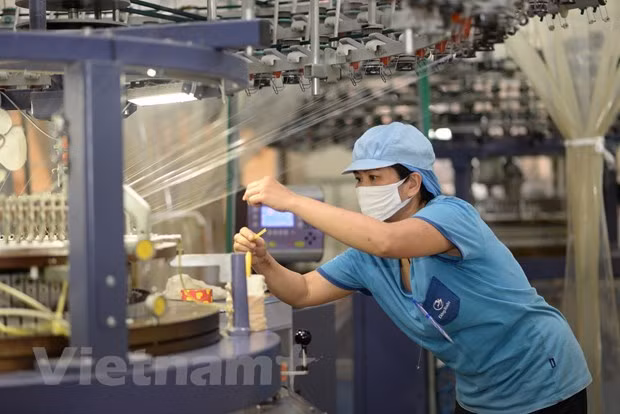 Chuyên gia: Việt Nam luôn có cách vượt qua mọi khó khăn và trở ngại ảnh 1
