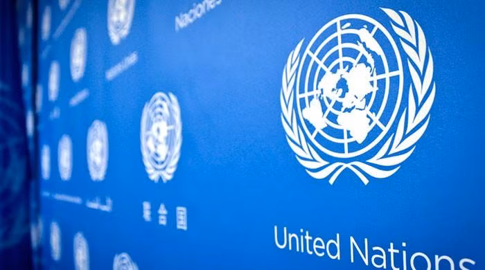 Sudan: Ba nhân viên Liên hợp quốc bị bắt cóc ở khu vực Darfur ảnh 1