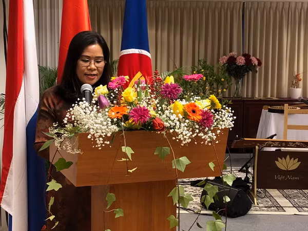 Đại sứ quán Việt Nam tại Hà Lan tổ chức gặp gỡ bạn bè quốc tế ảnh 1