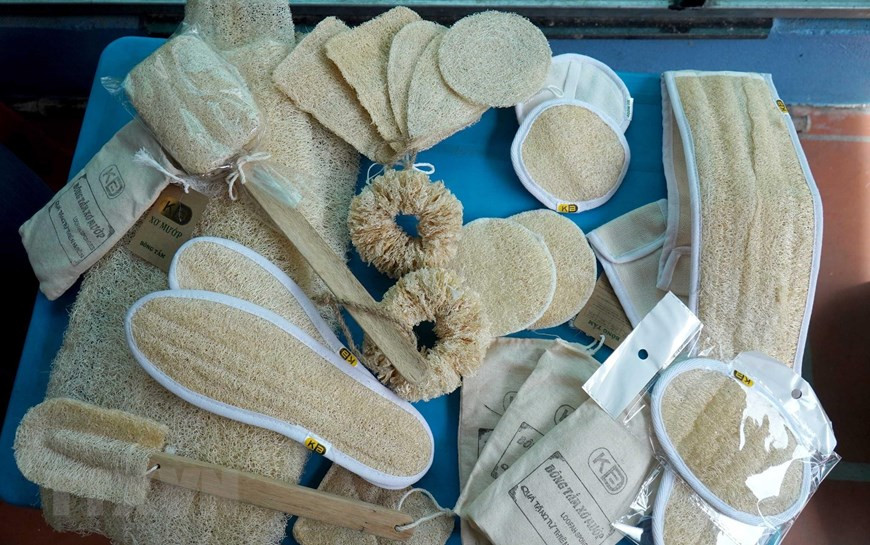 Nông dân Bắc Ninh kiếm tiền tỉ nhờ những sản phẩm làm từ xơ mướp | Vietnam+  (VietnamPlus)