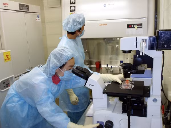 Việt Nam có 4 nơi đủ khả năng xét nghiệm xác định virus Ebola ảnh 1