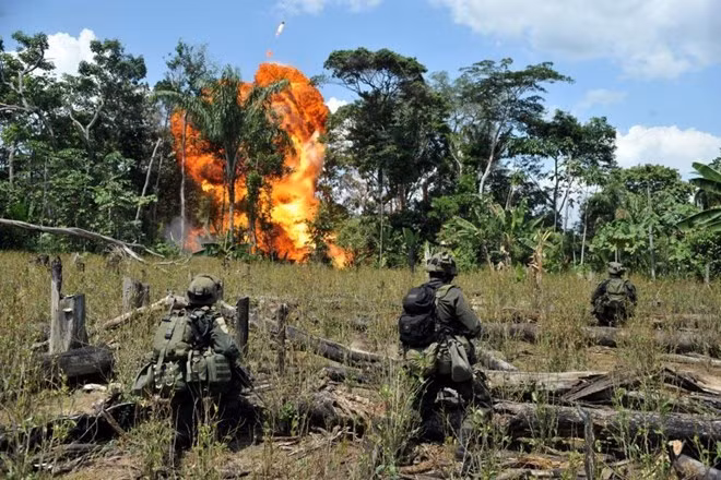 Colombia: FARC tố quân đội Chính phủ vi phạm thỏa thuận ngừng bắn ảnh 1