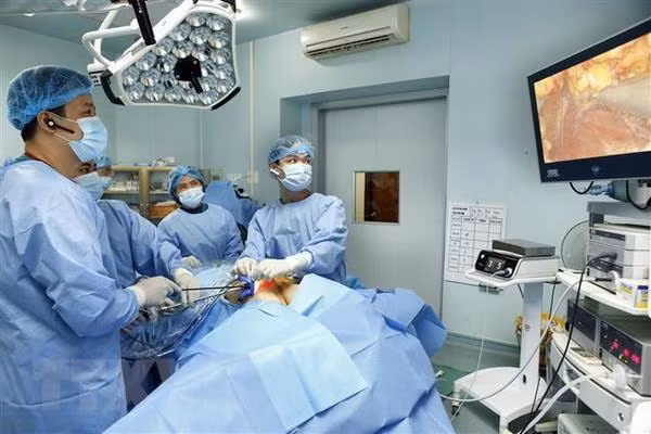 Thúc đẩy ứng dụng trí tuệ nhân tạo trong giải mã gene ở Việt Nam ảnh 2