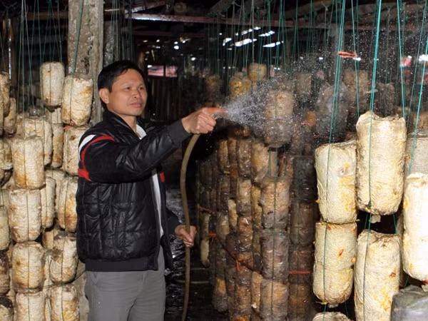 Lần đầu tiên cố định lãi suất ưu đãi tới 2 năm cho bất động sản ảnh 1