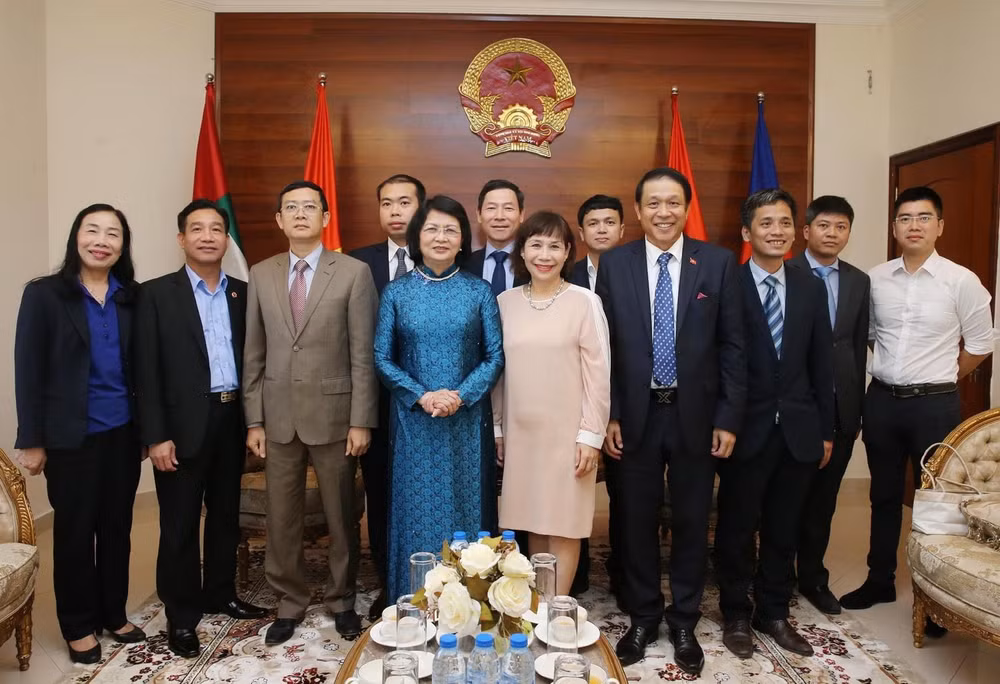 Phó Chủ tịch nước thăm Đại sứ quán Việt Nam tại UAE ảnh 1