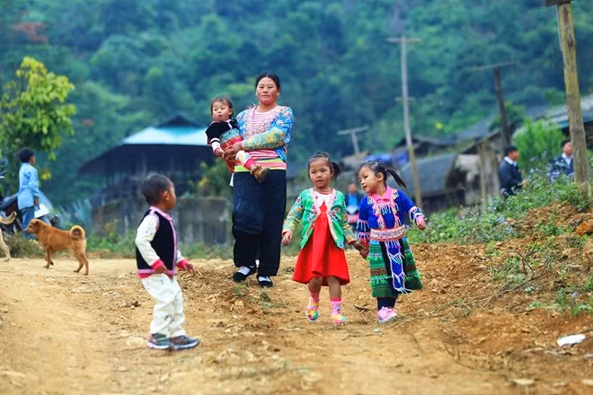 UNDP hoan nghênh nỗ lực của Việt Nam trong thực hiện Báo cáo UPR ảnh 1