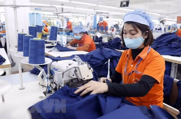 Cơ hội hợp tác và kết nối cho các doanh nghiệp Canada và TP.HCM ảnh 1