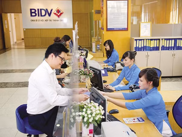BIDV bổ sung thành viên Hội đồng quản trị, tăng vốn điều lệ lên 28% ảnh 2