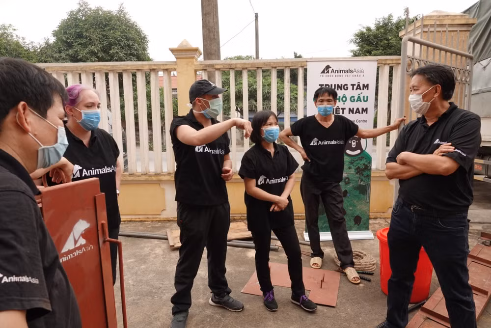 Cứu hộ thành công 3 cá thể gấu ngựa quý, hiếm tại tỉnh Nam Định ảnh 3