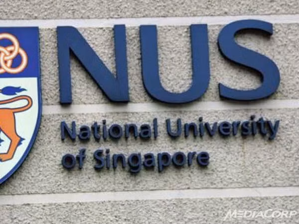 Đại học Quốc gia Singapore là trường tốt nhất châu Á ảnh 1