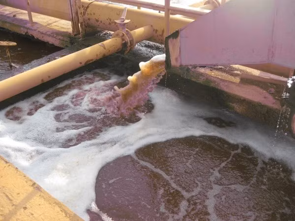 Báo động nguy cơ gia tăng ô nhiễm trên các sông, ở hồ Hà Nội ảnh 1