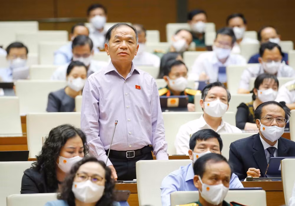 Cần sớm sửa đổi Luật Đất đai để chặn đứng các sai phạm do quản lý ảnh 1