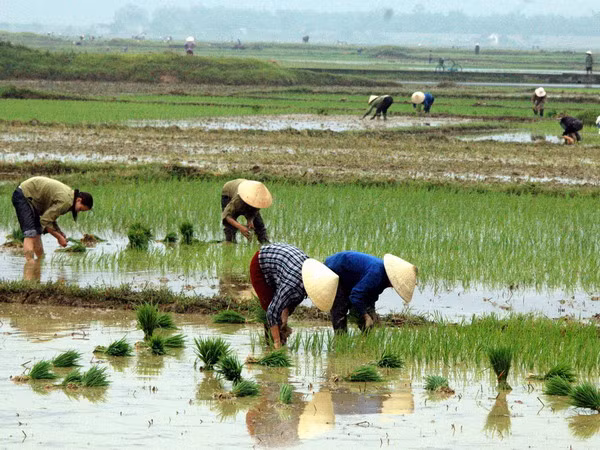 Miền Bắc độ ẩm tăng, Vịnh Bắc bộ có sương mù dày đặc ảnh 1